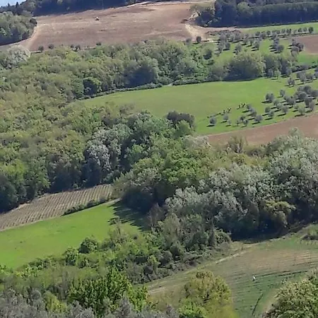 Apartment In Montespertoli